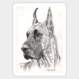 Great Dane Sticker